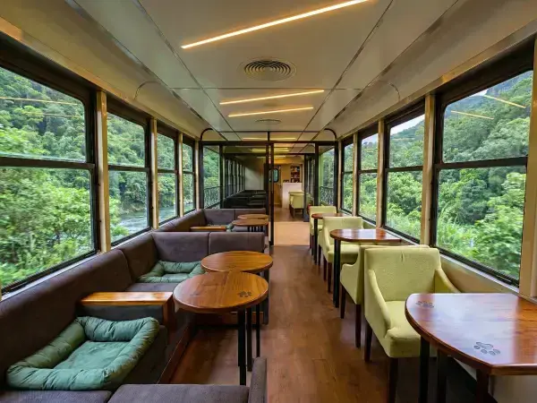 Interior do vagão Bove Pet Friendly com piso adaptado e espaço seguro para animais de estimação no trem.